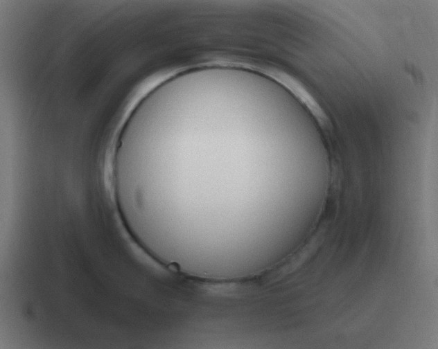 X0000116821247200912312009