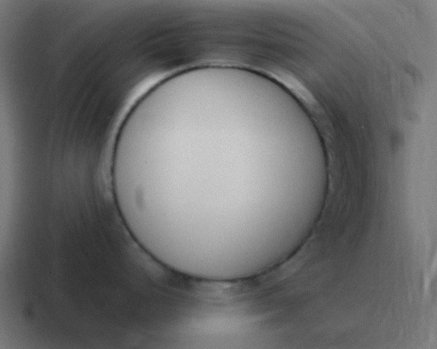 X0000116821248200912312009