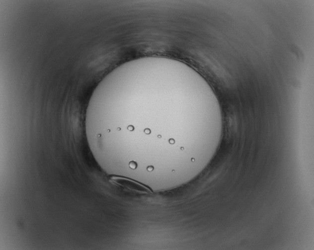 X0000116821250200912312009