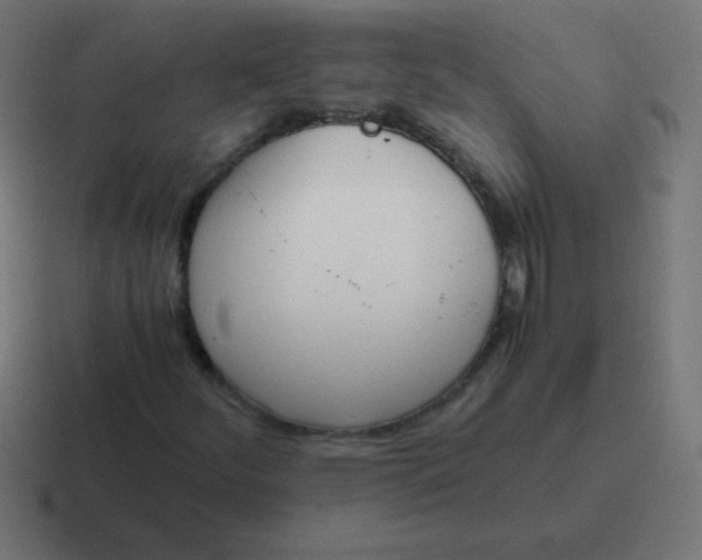 X0000116821252200912312009