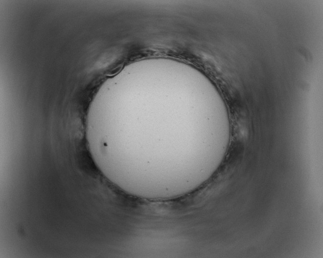 X0000116821253200912312009