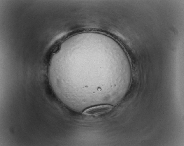 X0000116821255200912312009