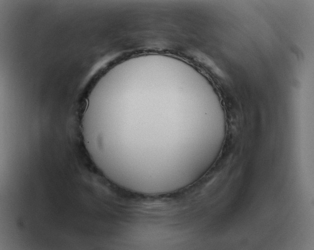 X0000116821256200912312009