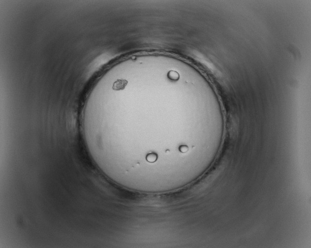 X0000116821259200912312009