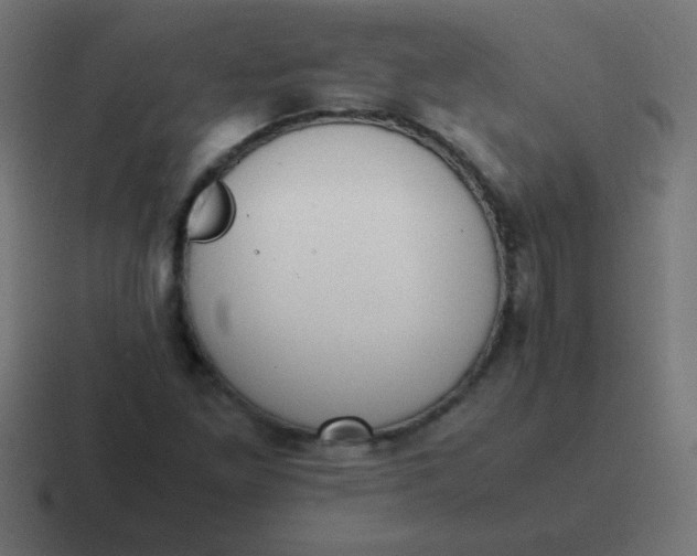 X0000116821261200912312009