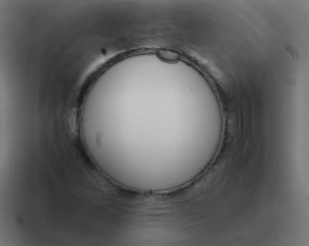 X0000116821262200912312009