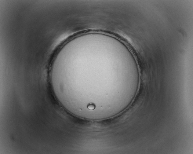 X0000116821263200912312009