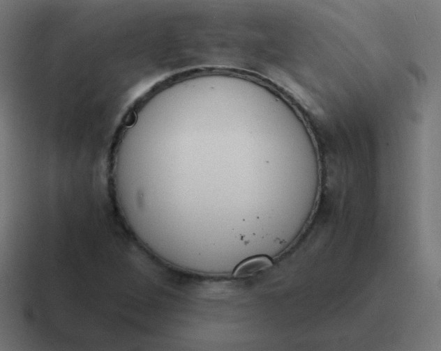 X0000116821264200912312009