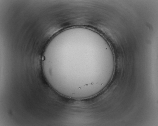 X0000116821265200912312009