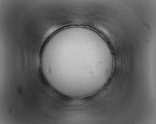 X0000116821267200912312009