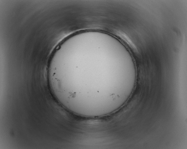 X0000116821268200912312009