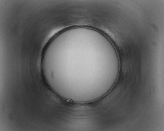 X0000116821270200912312008