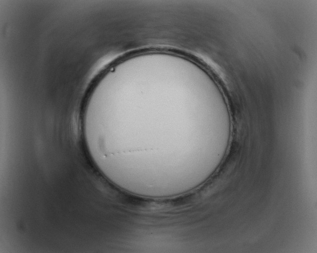 X0000116821271200912312008