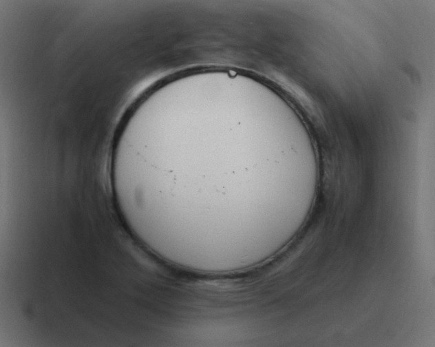 X0000116821272200912312008