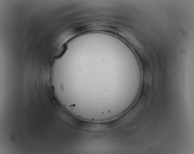 X0000116821273200912312008