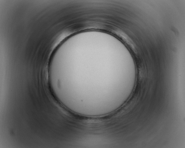 X0000116821274200912312008