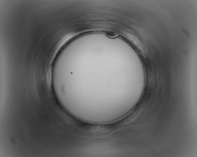 X0000116821275200912312008