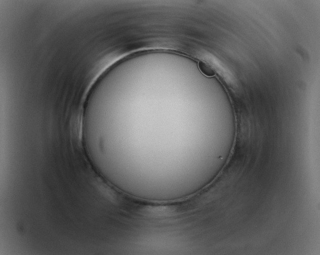 X0000116821276200912312008