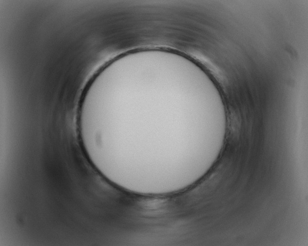 X0000116821278200912312008