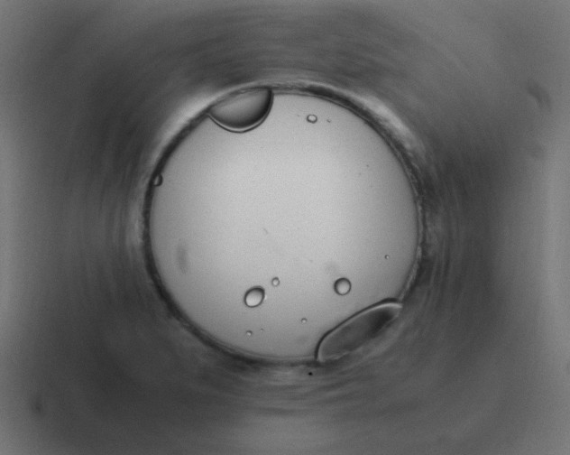 X0000116821279200912312008