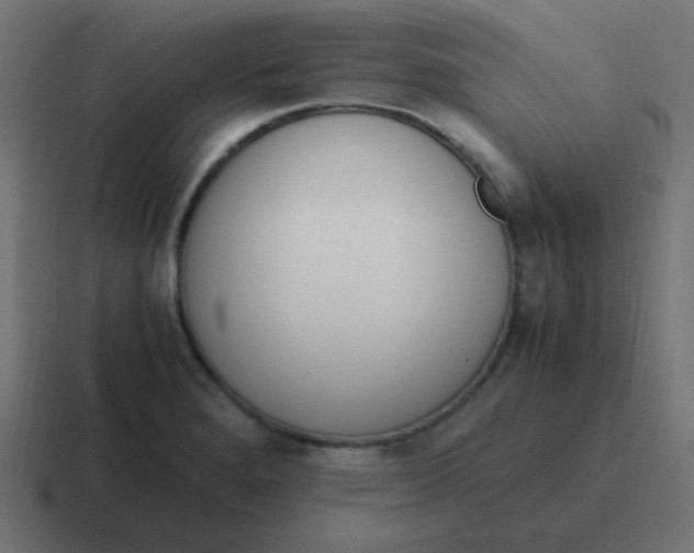 X0000116821280200912312008