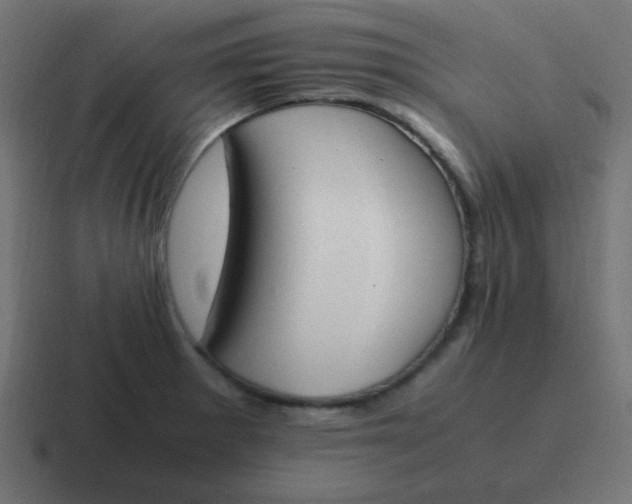 X0000116821281200912312008