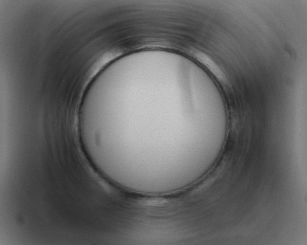 X0000116821282200912312008