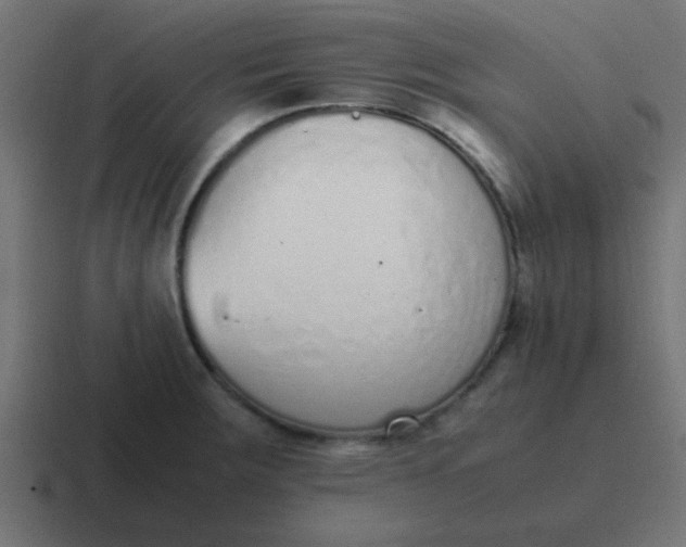 X0000116821283200912312008