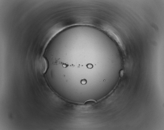 X0000116821284200912312008