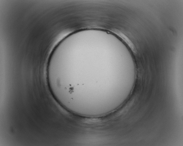 X0000116821285200912312008