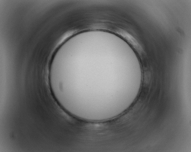 X0000116821286200912312008