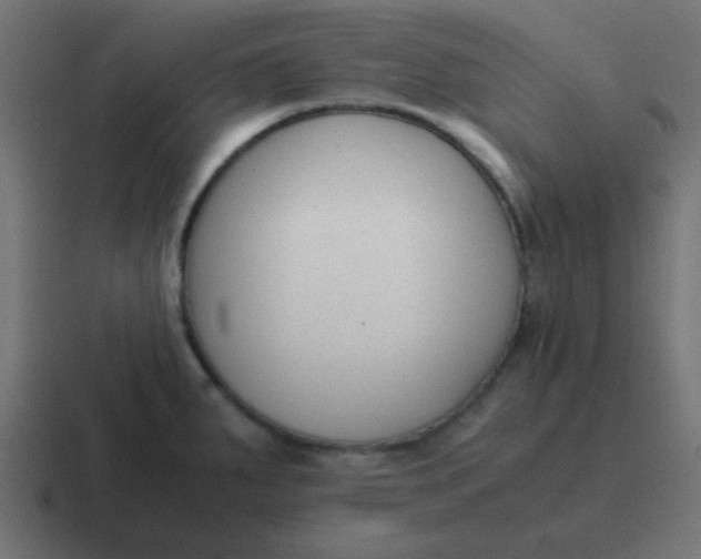 X0000116821287200912312008