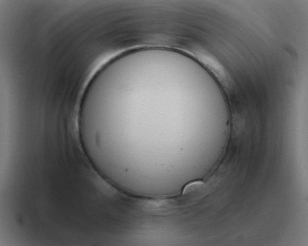 X0000116821288200912312008