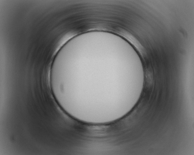 X0000116821290200912312008