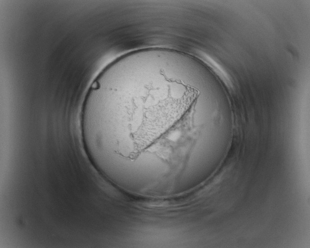 X0000116821291200912312008