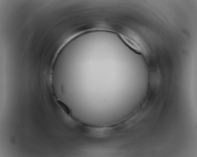 X0000116821292200912312008