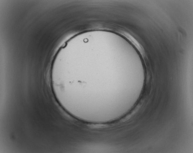 X0000116821293200912312008