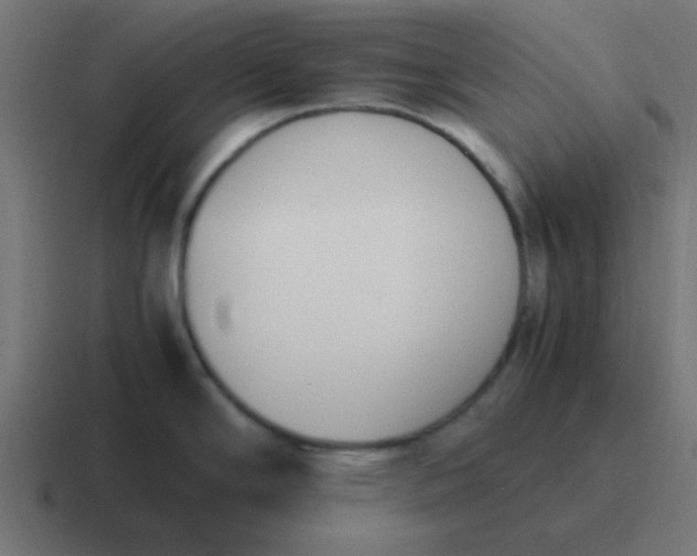 X0000116821294200912312008