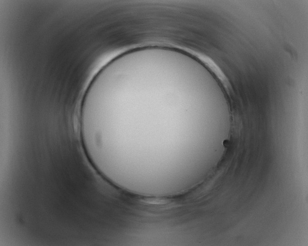 X0000116821295200912312008