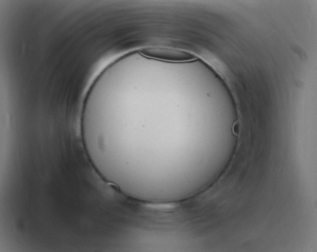 X0000116821296200912312008