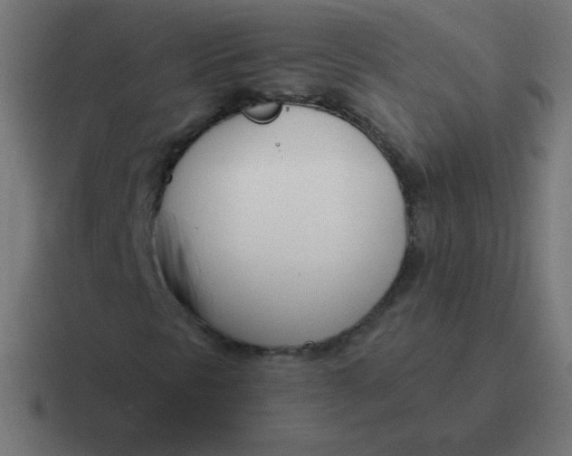 X0000116821297200912312008