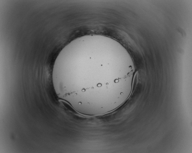 X0000116821298200912312008