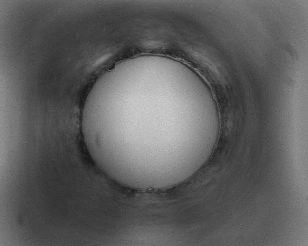 X0000116821301200912312008