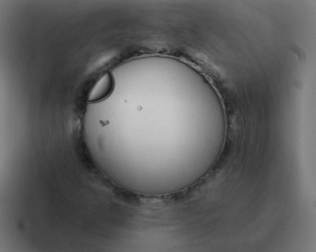 X0000116821302200912312008