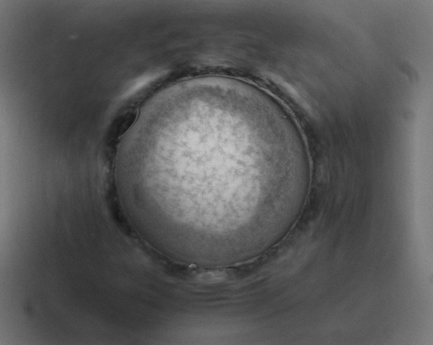 X0000116821303200912312008