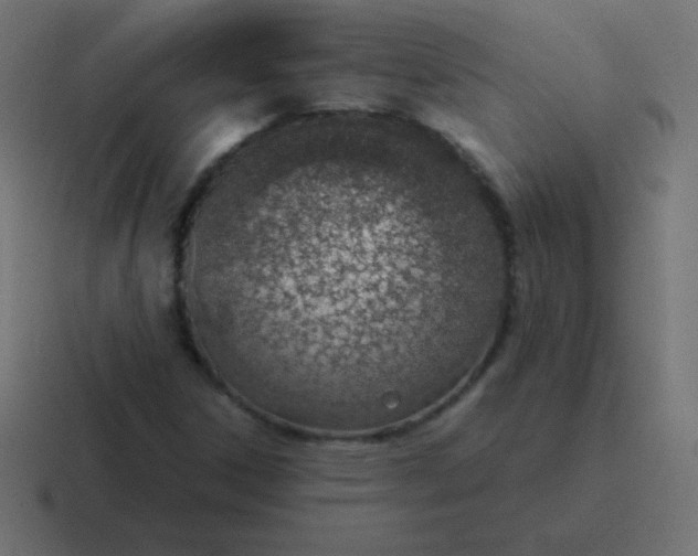 X0000116821306200912312008