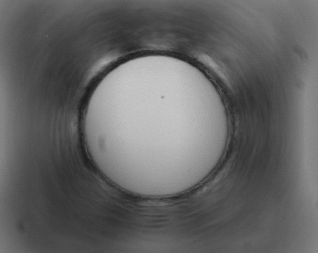 X0000116821307200912312008