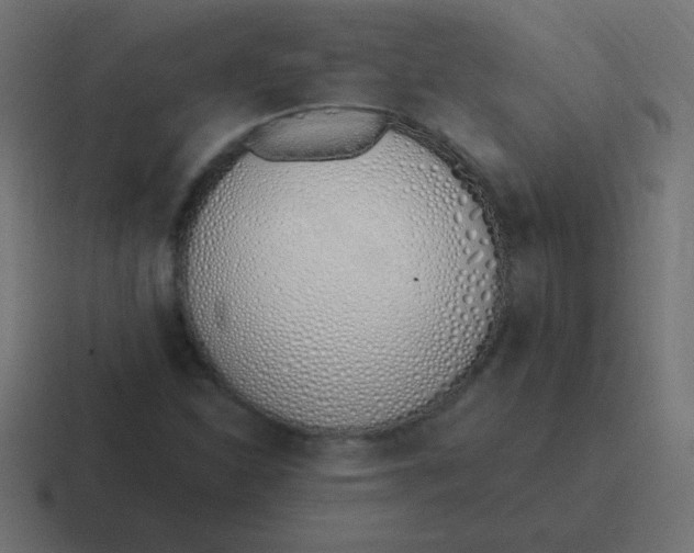 X0000116821310200912312008