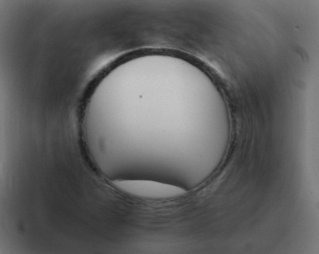 X0000116821311200912312008