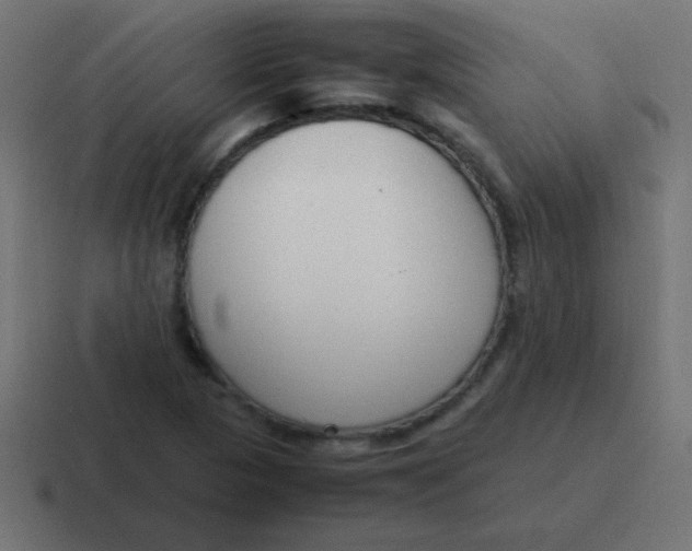 X0000116821313200912312008